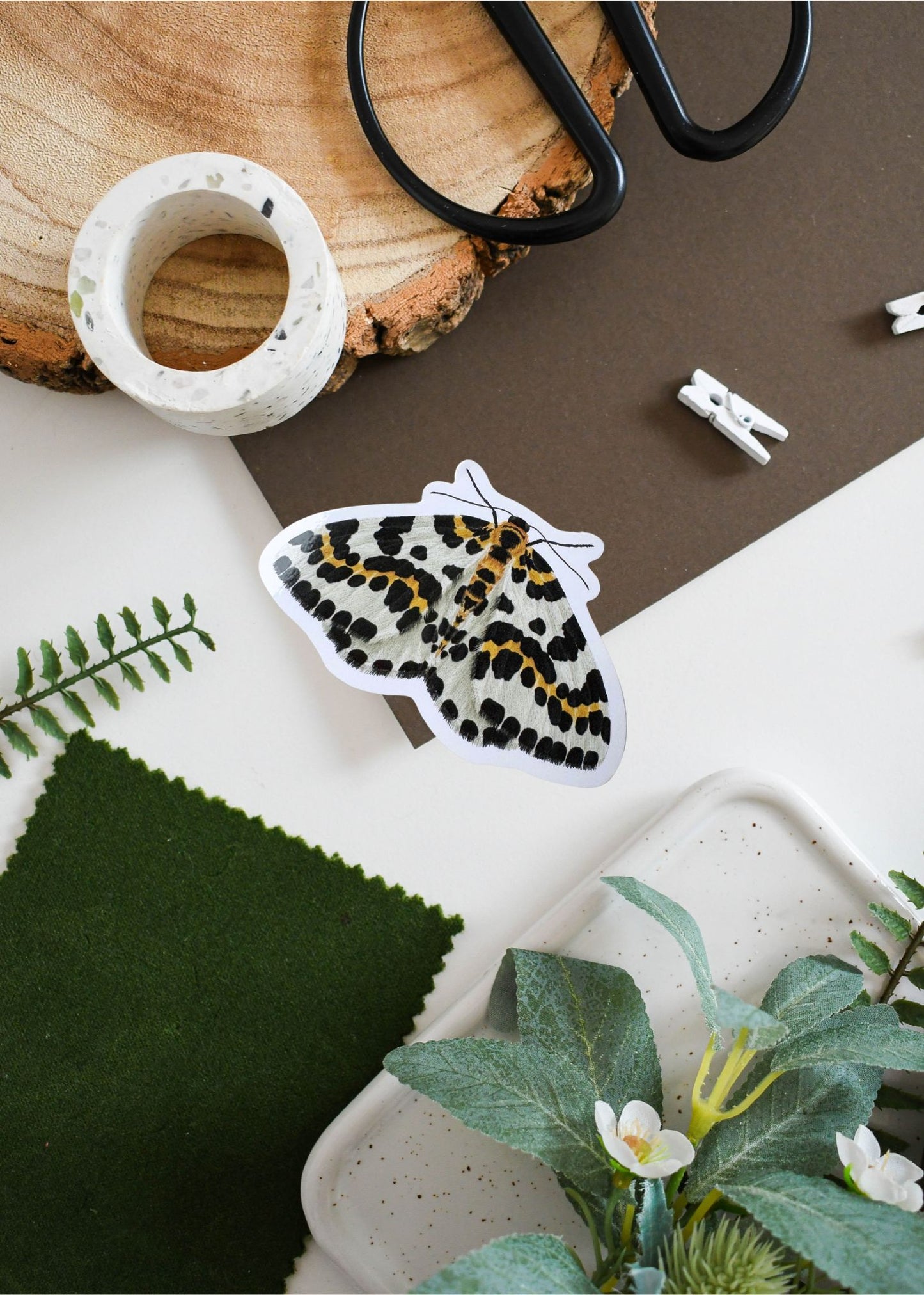 Magpie Moth Vinyl Sticker