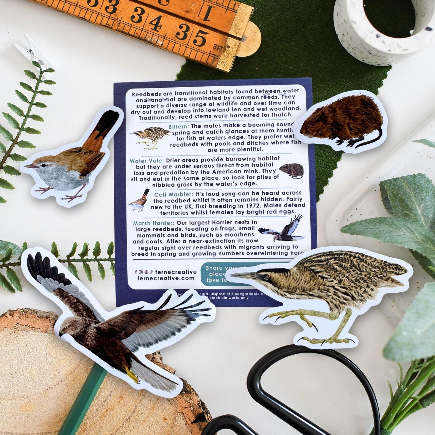 A styled flat-lay of bird-themed educational stickers and a small printed card, arranged with a wooden ruler, stone, scissors, greenery, and wood on a white background.