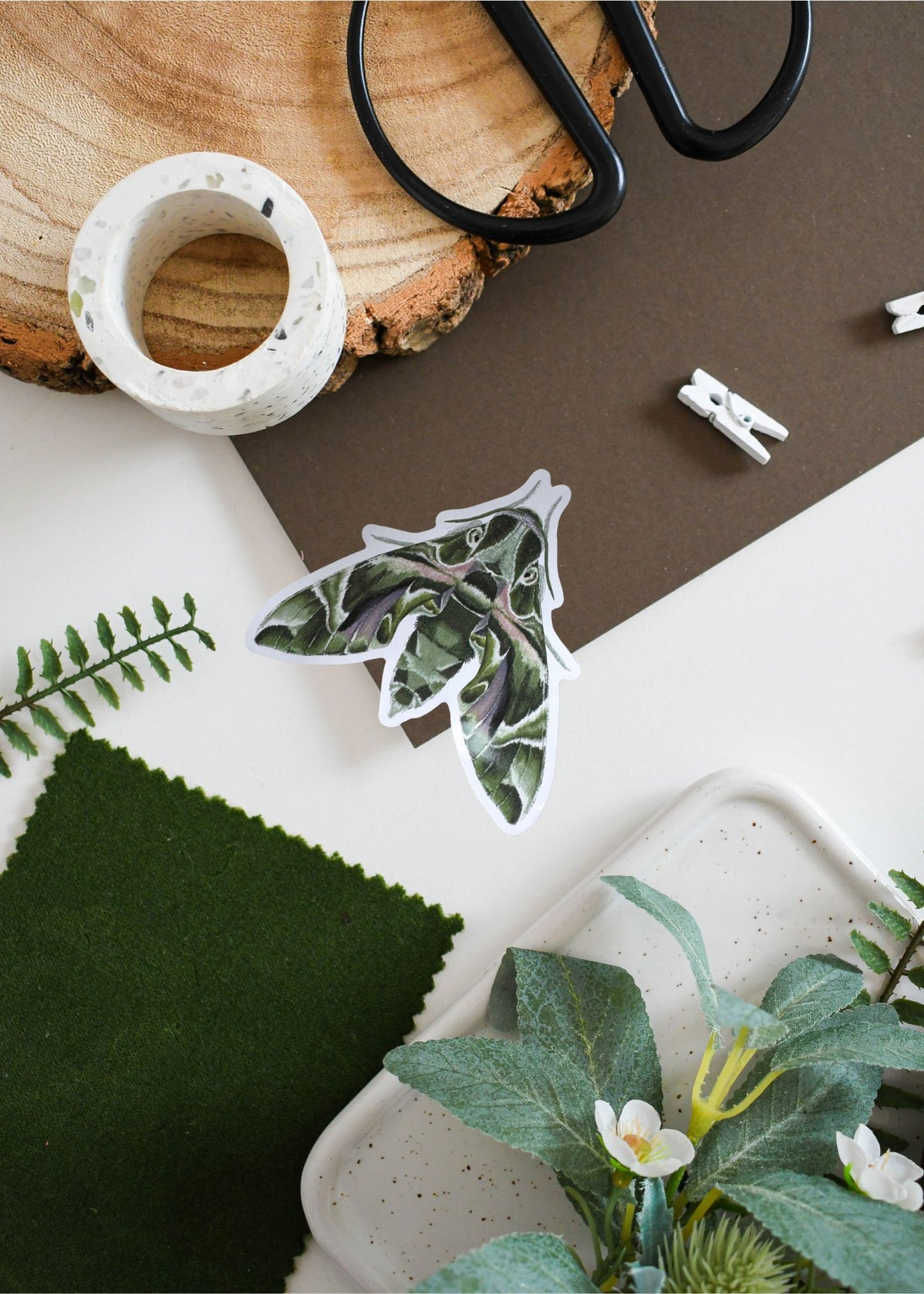 Oleander Hawk-Moth Vinyl Sticker