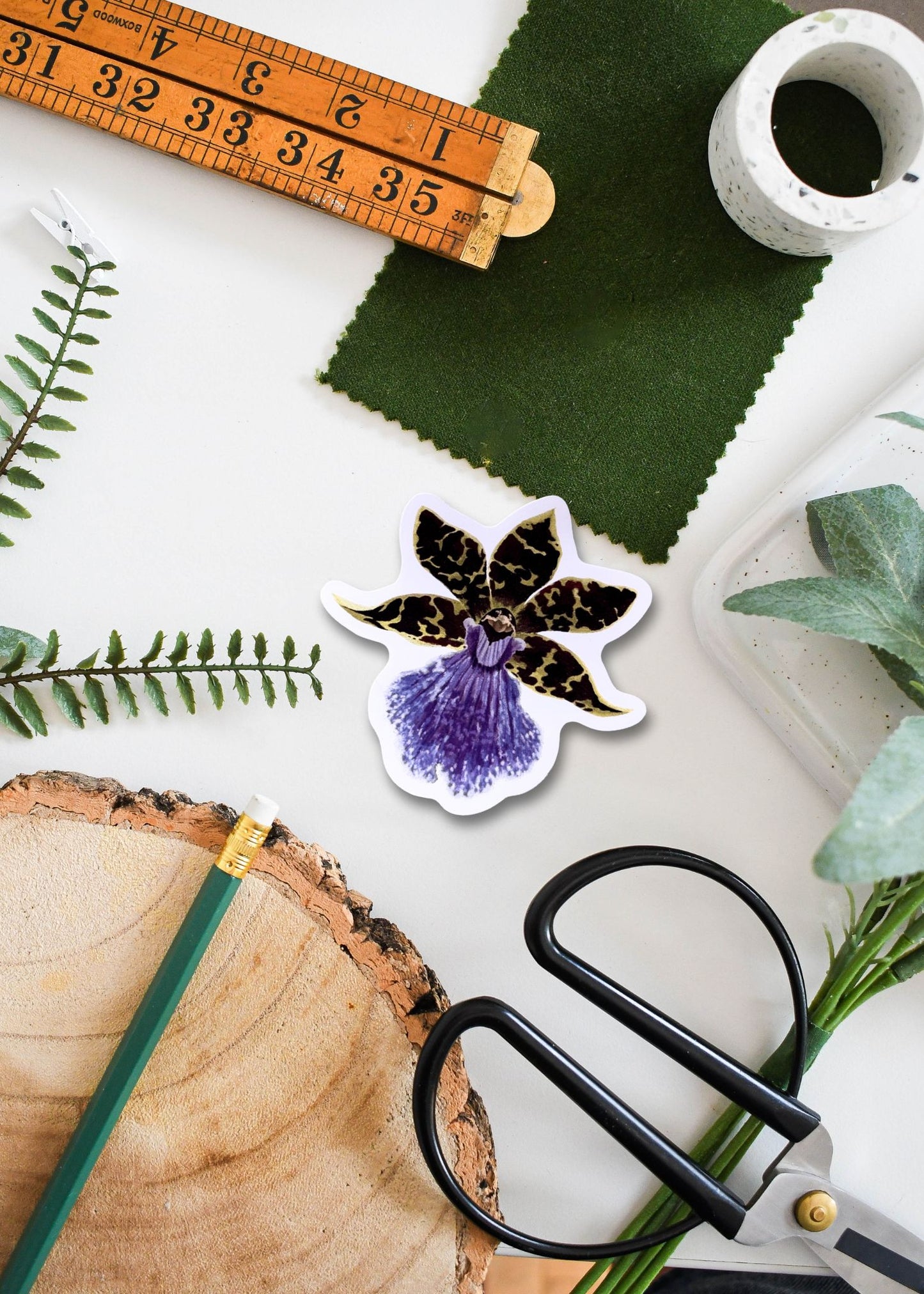 Zygopetalum maculatum Orchid Vinyl Sticker