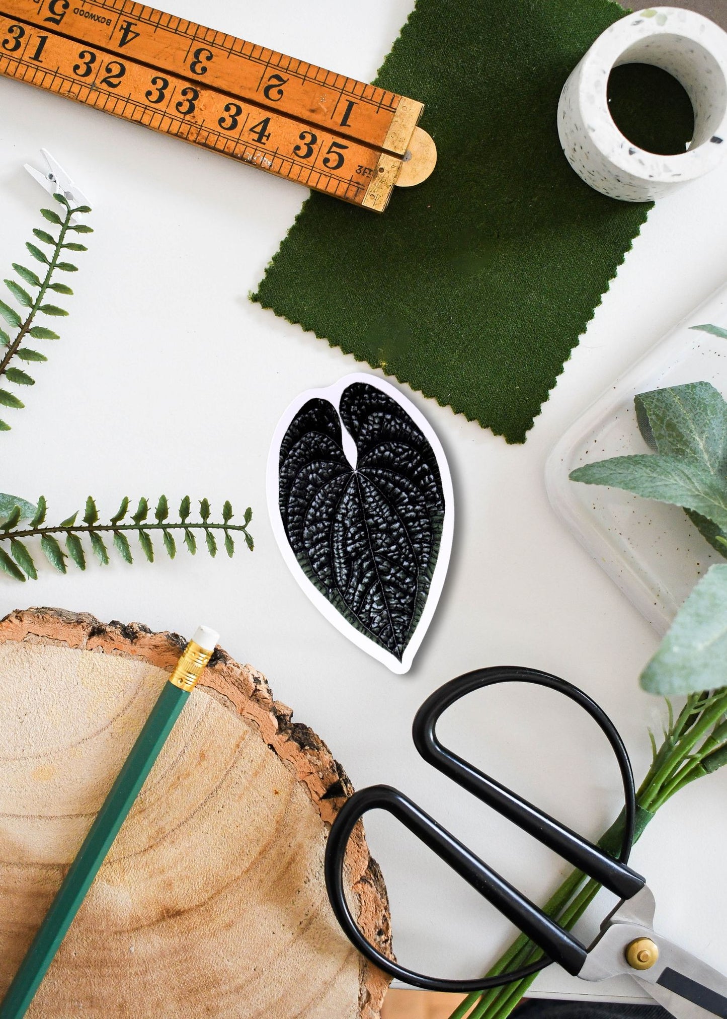Anthurium luxurians Vinyl Sticker
