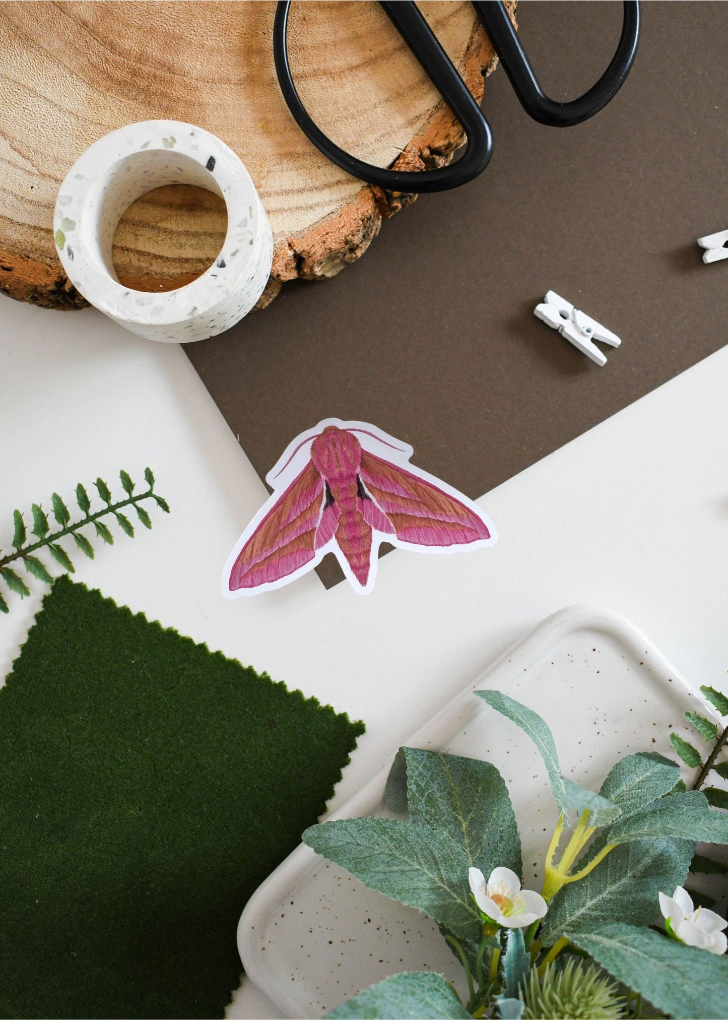Elephant Hawk-Moth Vinyl Sticker
