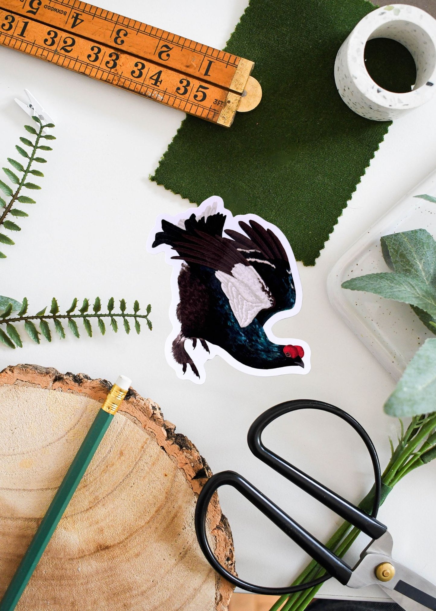 Black Grouse vinyl sticker