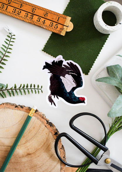 Black Grouse vinyl sticker