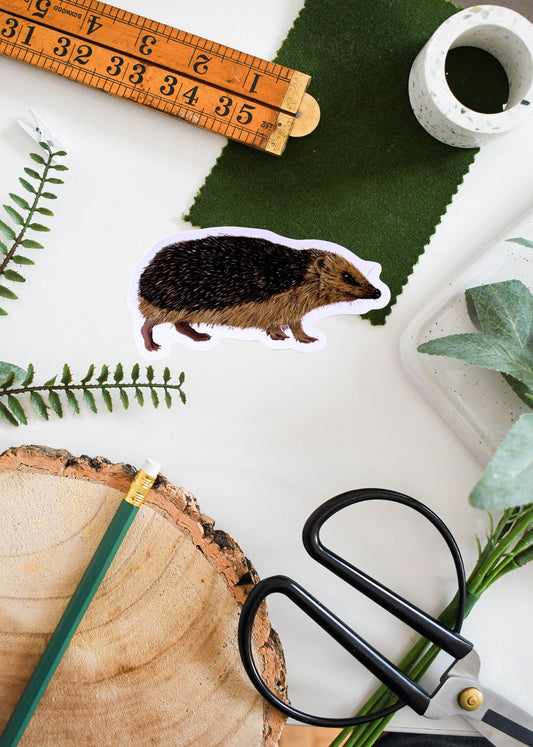Hedgehog Vinyl Sticker