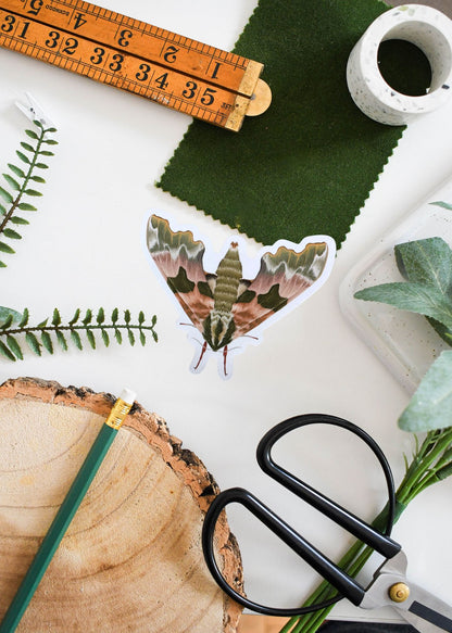 Lime Hawk-Moth Vinyl Sticker