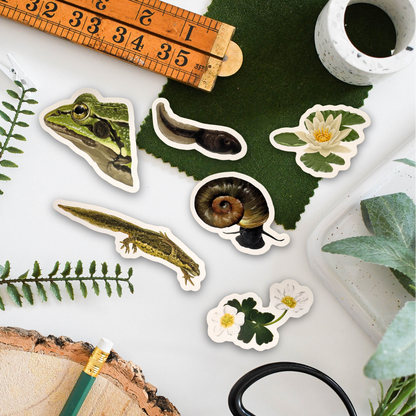 A styled flat-lay of die-cut stickers featuring nature-themed illustrations, including a frog, tadpole, snail, lizard, water lily flowers, and leaves, arranged on a white surface with a wooden ruler, scissors, pencil, greenery, and a stone cup.