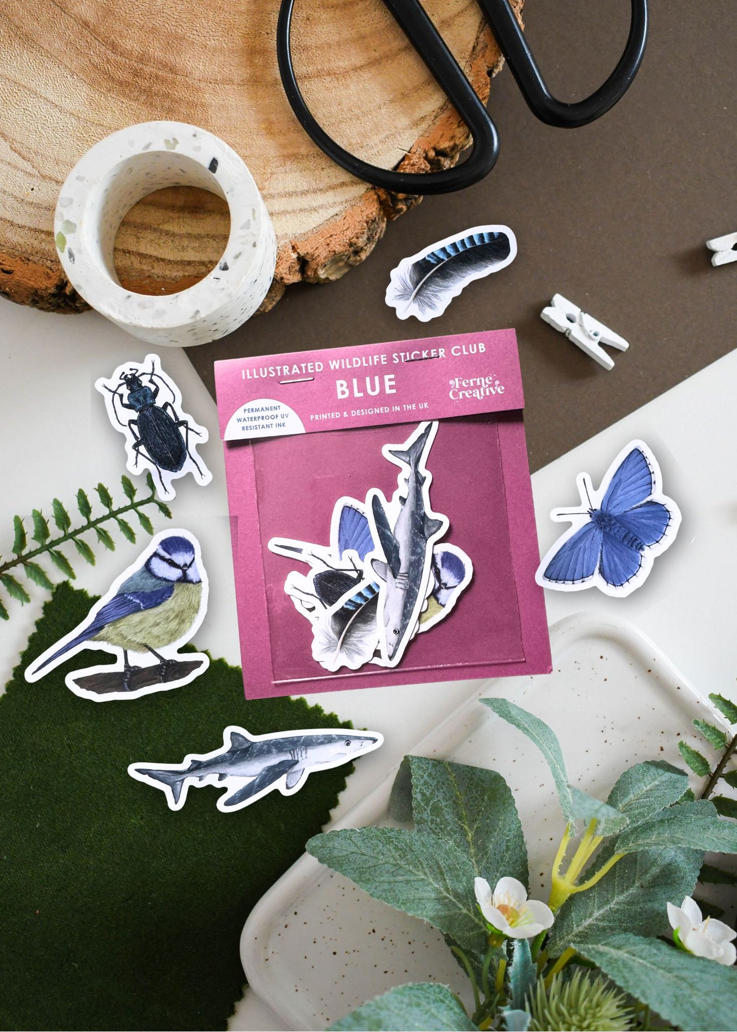 Blue Wildlife Vinyl Sticker Pack – February 26 Edition