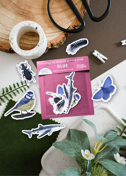 Blue Wildlife Vinyl Sticker Pack – February 26 Edition