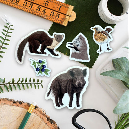Seed Dispersing Wildlife Vinyl Sticker Pack – July 26 Edition