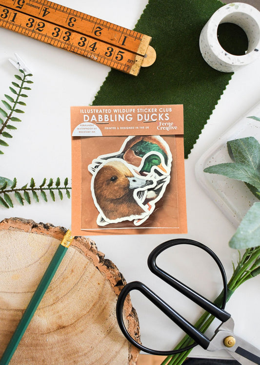 Dabbling Ducks Vinyl Sticker Pack – January 26 Edition