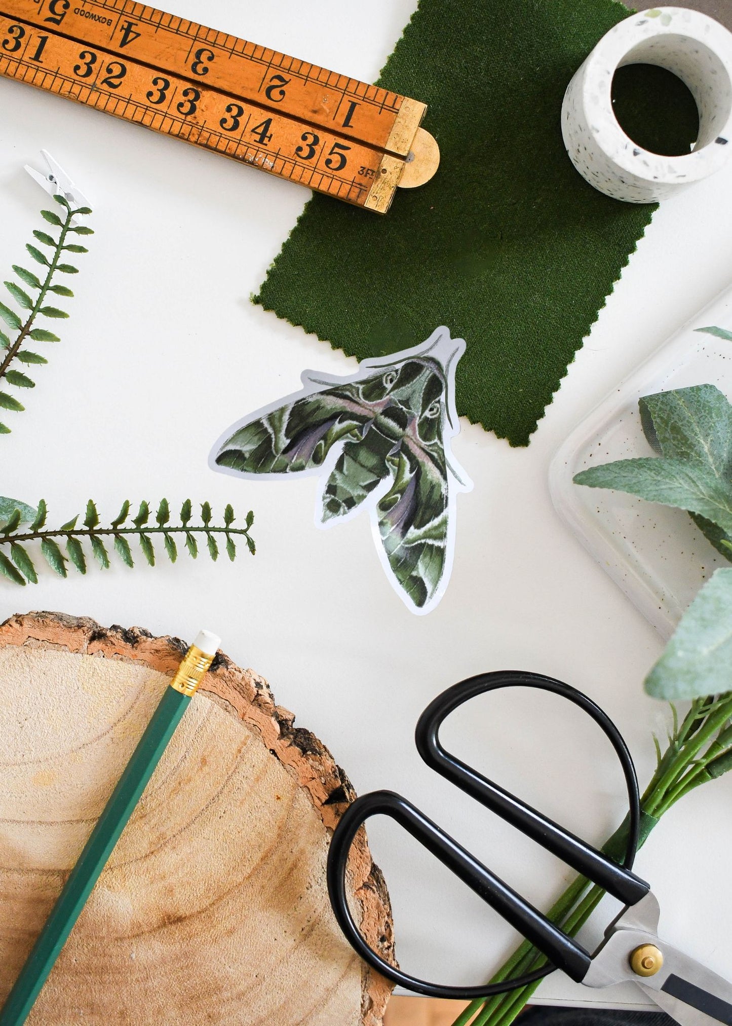 Oleander Hawk-Moth Vinyl Sticker