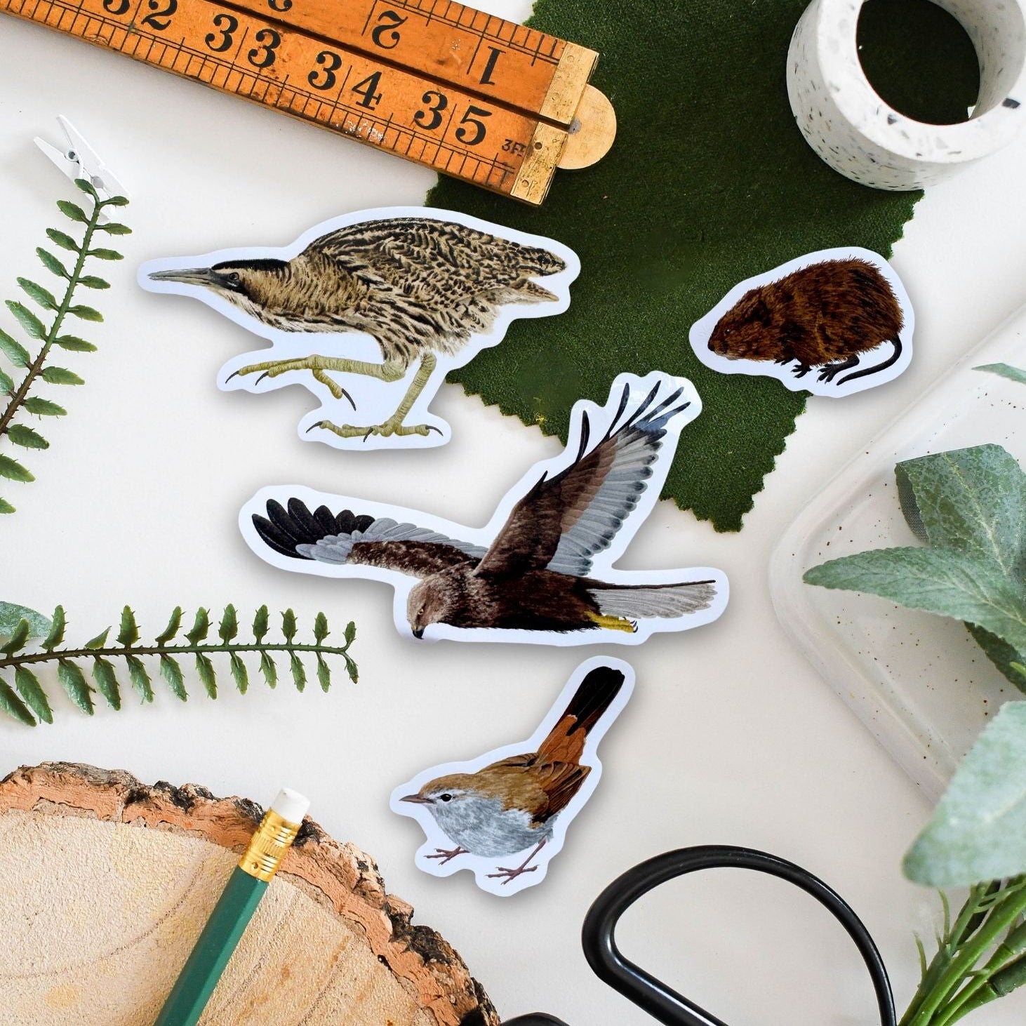 A set of five die-cut bird stickers arranged on a white desk with a wooden ruler, green felt, scissors, a pencil, and a wood slice.