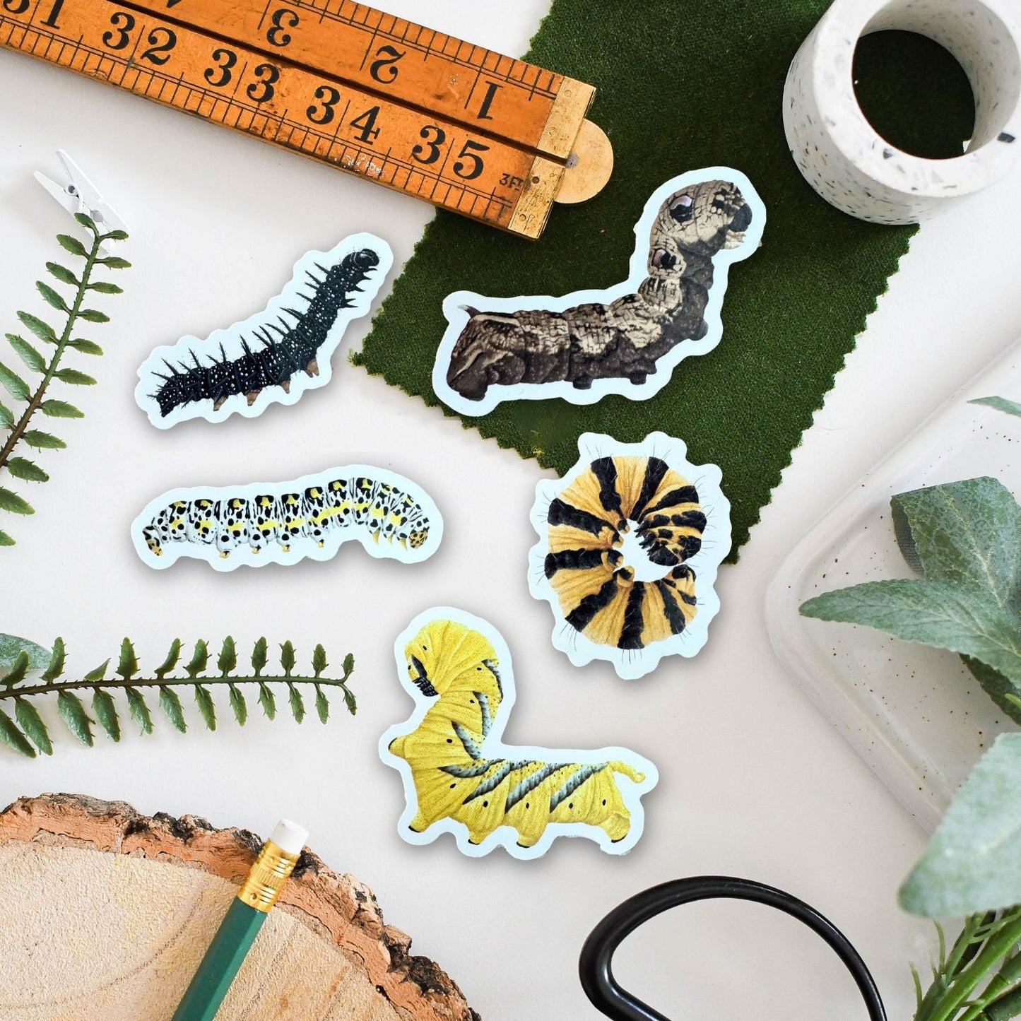 5 caterpillar illustrated wildlife stickers