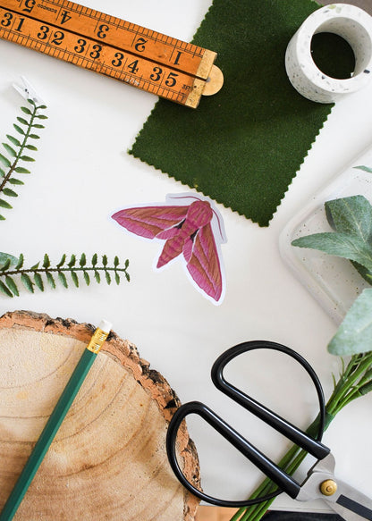 Elephant Hawk-Moth Vinyl Sticker