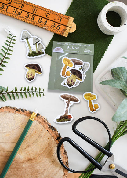 British Fungi Sticker Pack – October Edition