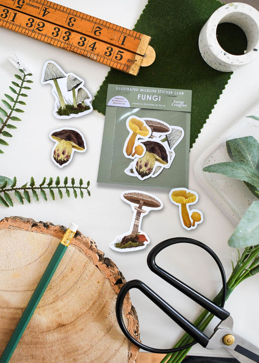 British Fungi Sticker Pack – October Edition