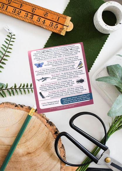 Blue Wildlife Vinyl Sticker Pack – February 26 Edition