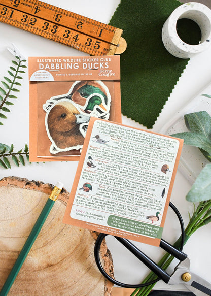 Dabbling Ducks Vinyl Sticker Pack – January 26 Edition