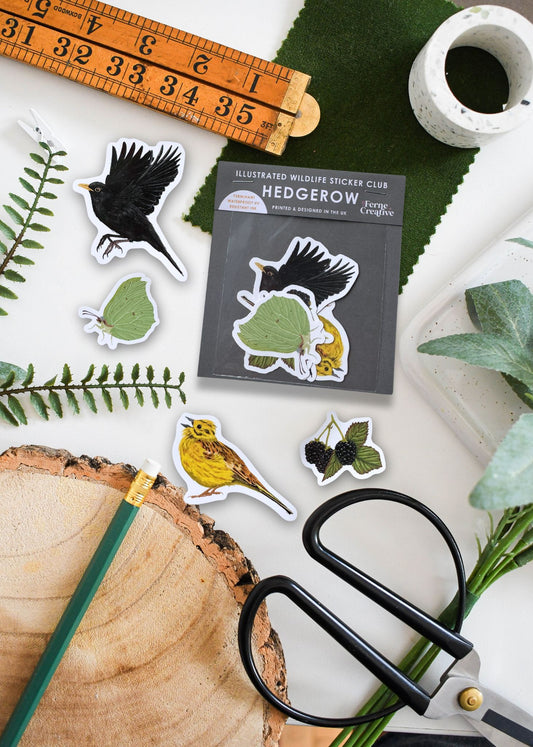 Hedgerow Wildlife Sticker Pack – November Edition