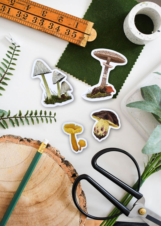 British Fungi Sticker Pack – October Edition