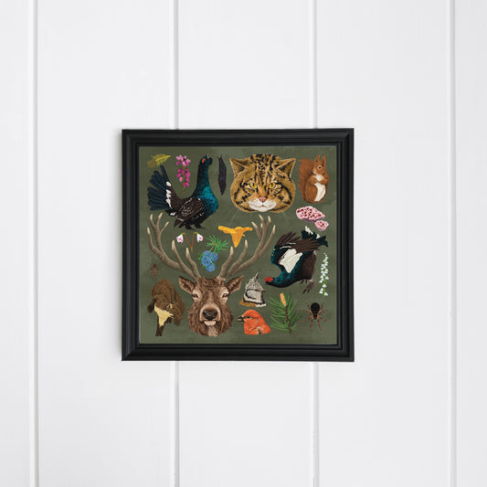 Caledonian Forest Wildlife Print