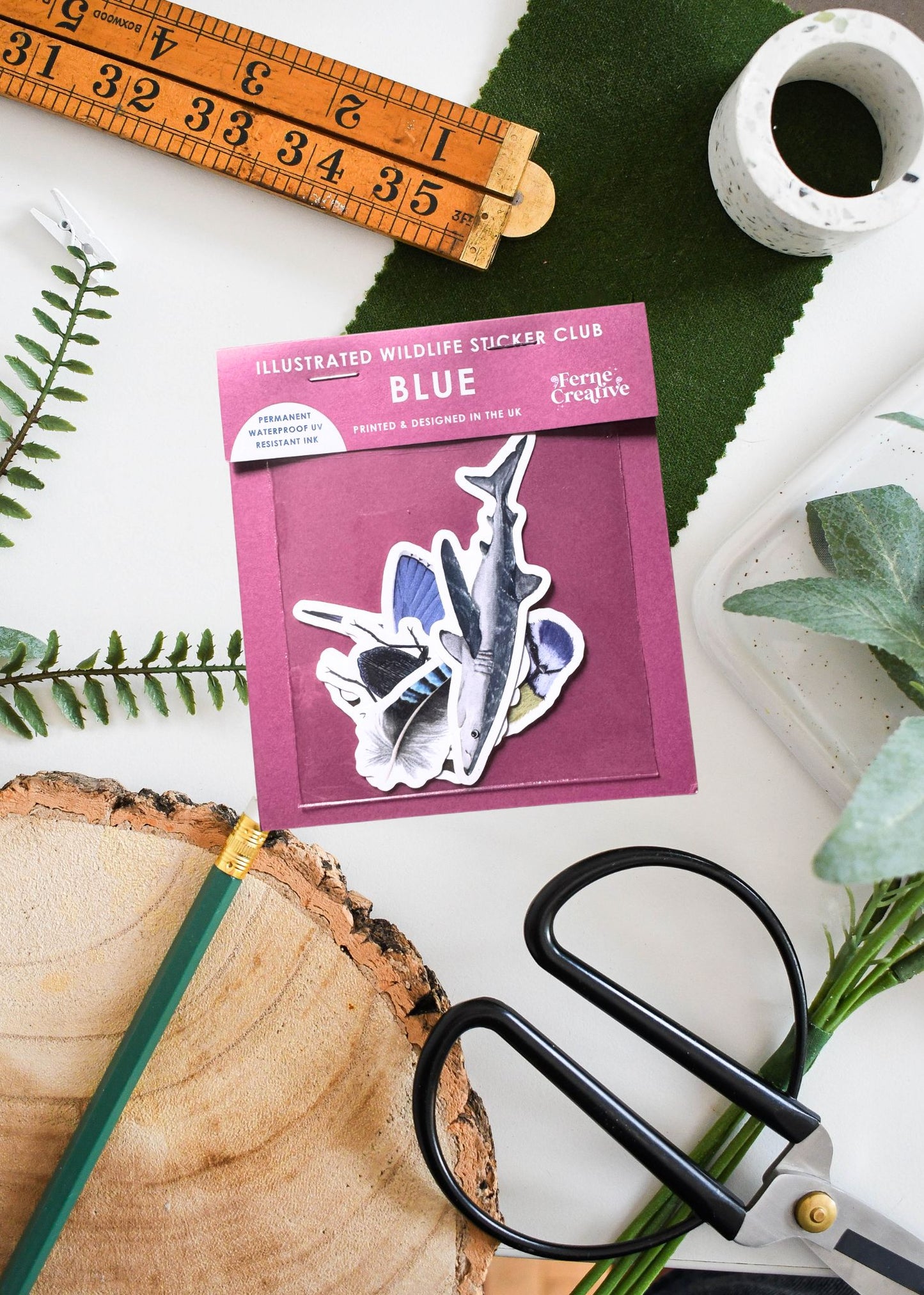 Blue Wildlife Vinyl Sticker Pack – February 26 Edition