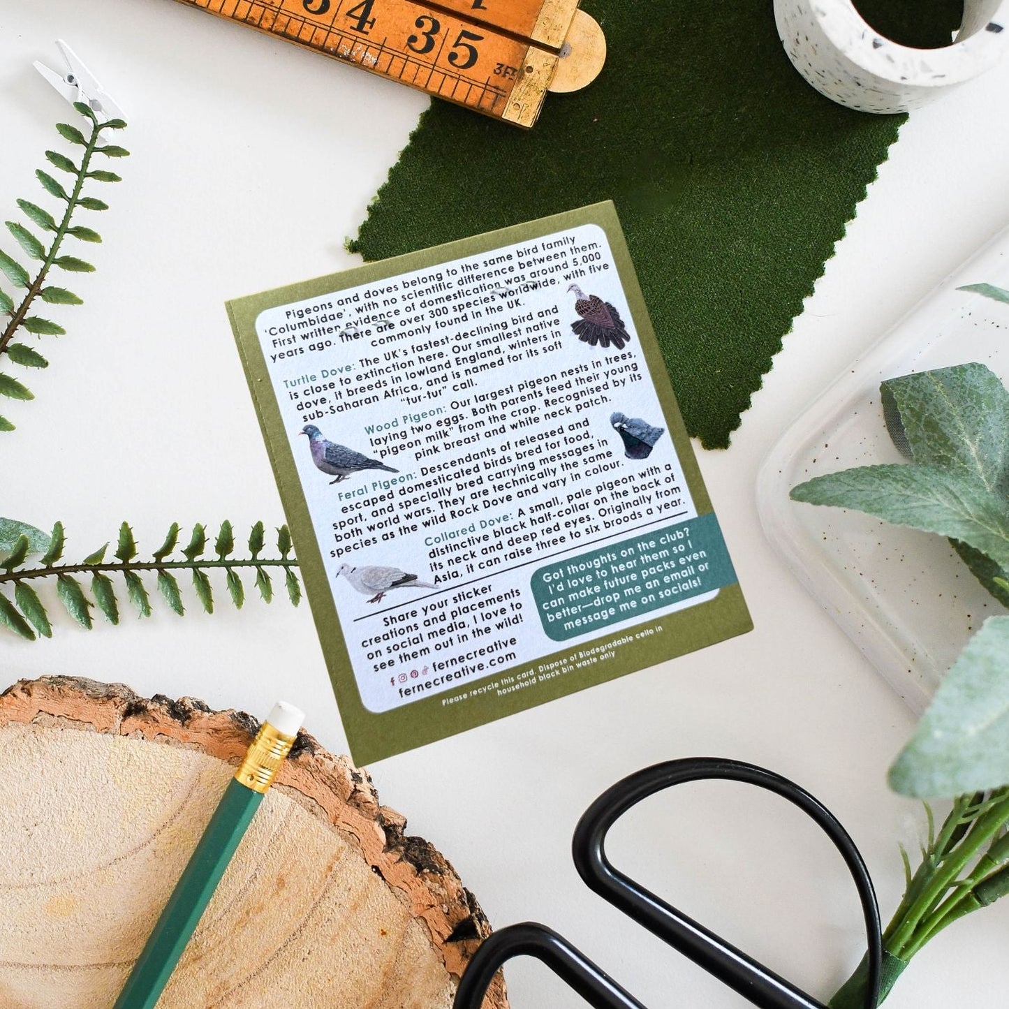 Card with text and illustrations on a surface with natural elements like leaves and a ruler.