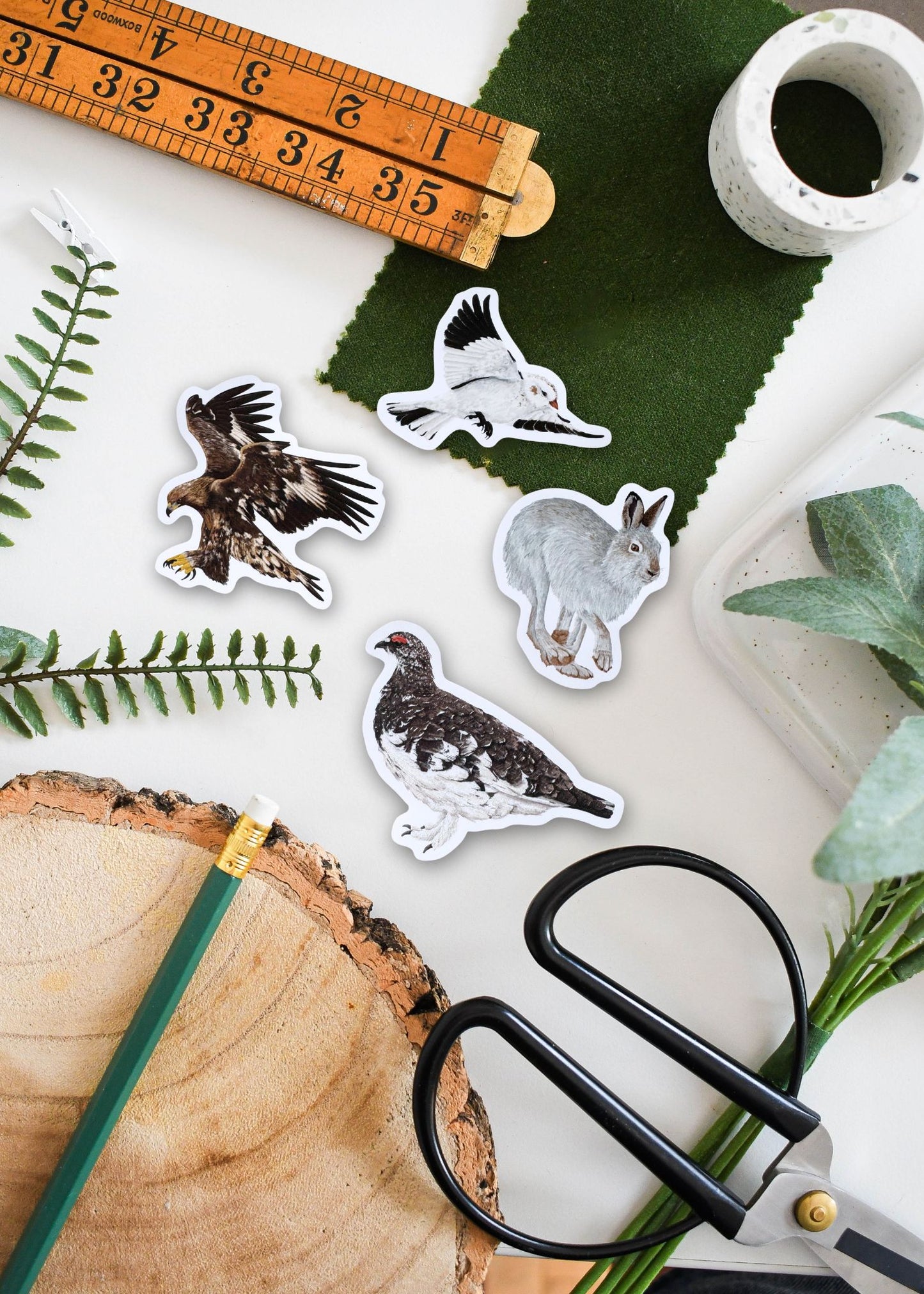 British Alpine Wildlife Sticker Pack – December Edition