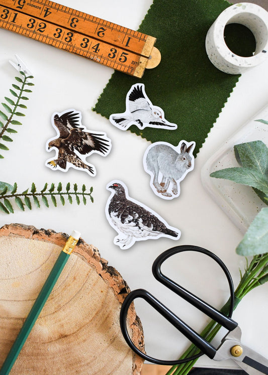 British Alpine Wildlife Sticker Pack – December Edition