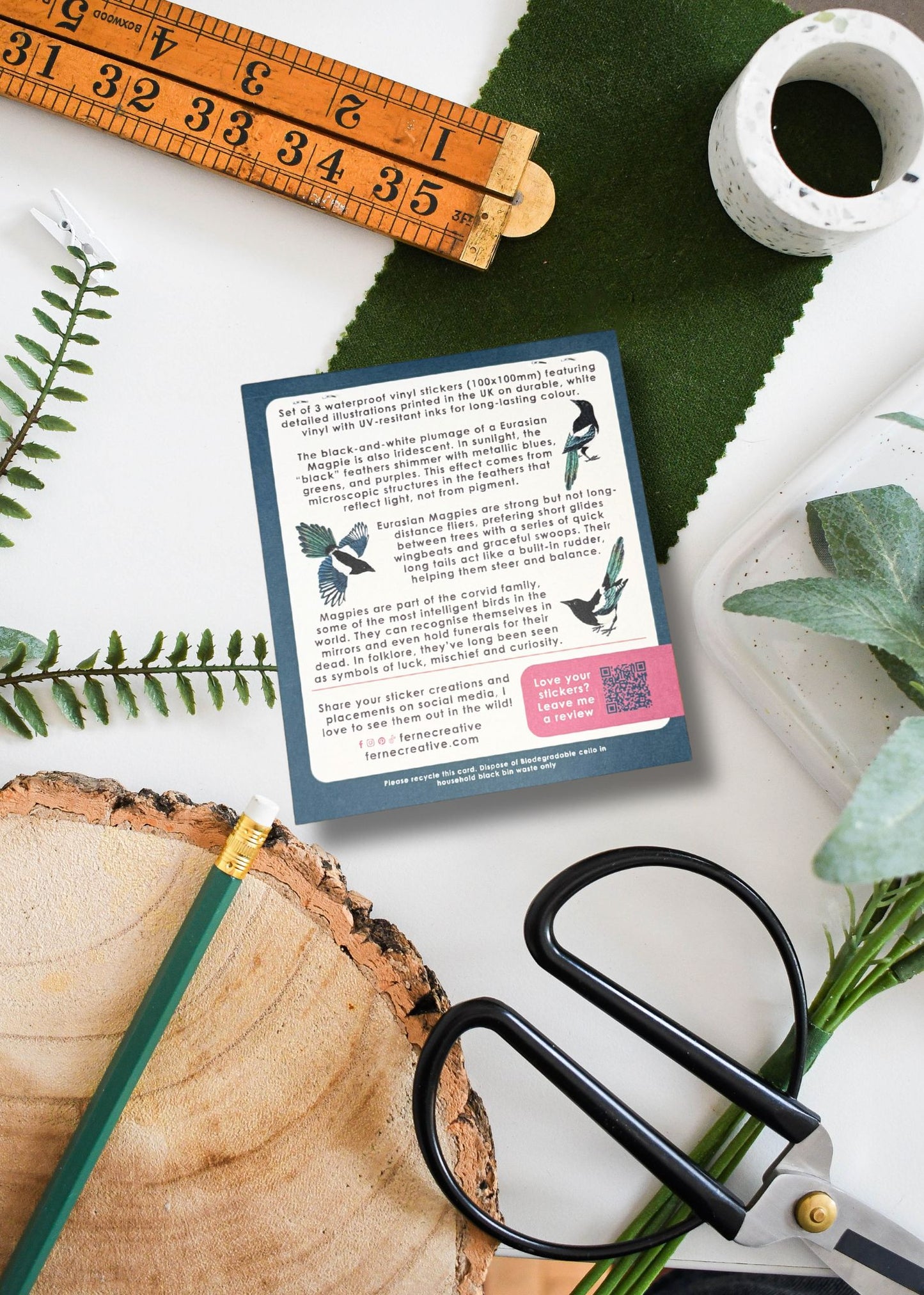 Elster Vinyl-Aufkleber-Paket 