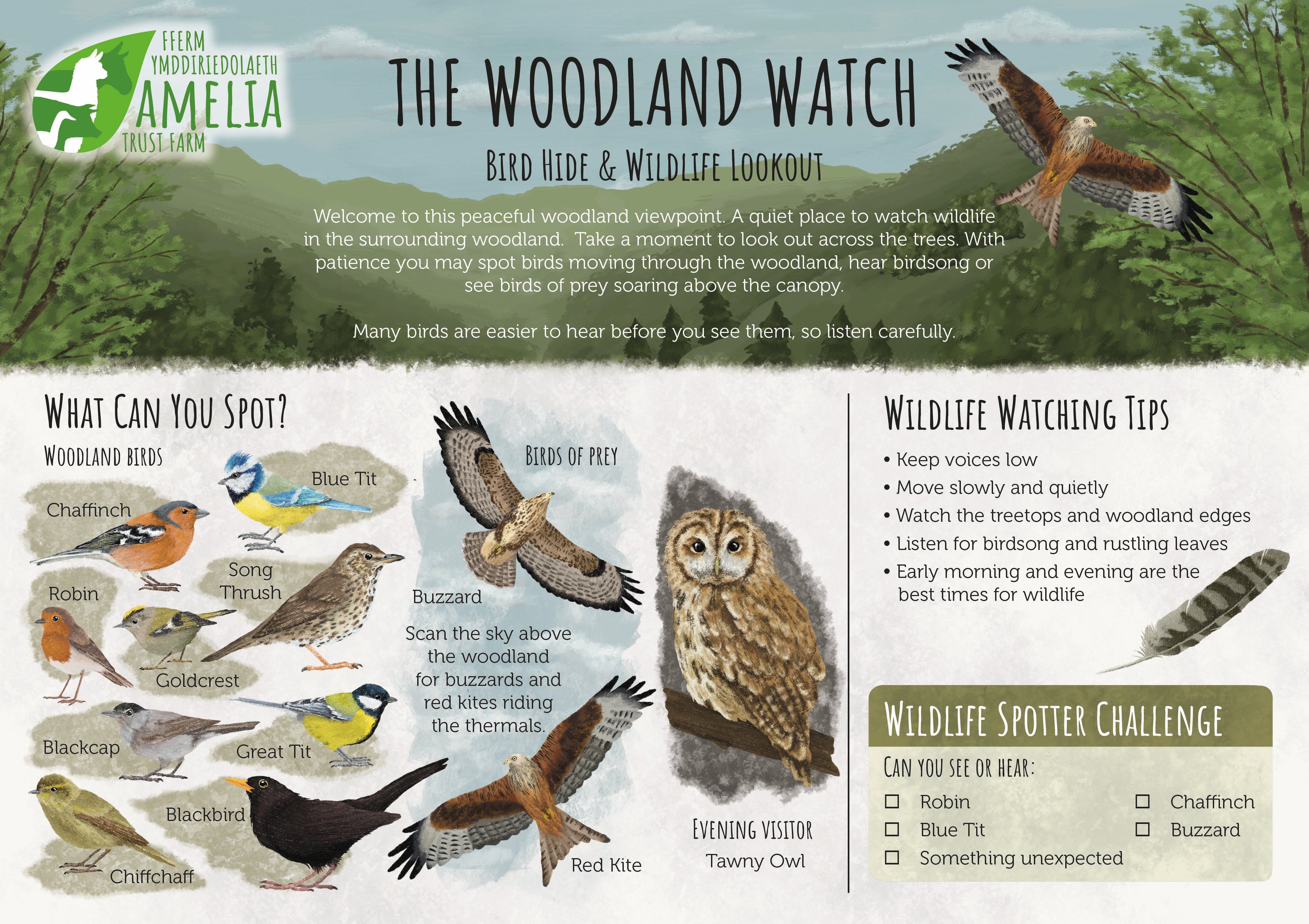 Educational iwildlife interpretation board about the Woodland Watch bird hide and wildlife lookout with illustrations of birds and wildlife tips. Designed by Ferne Creative