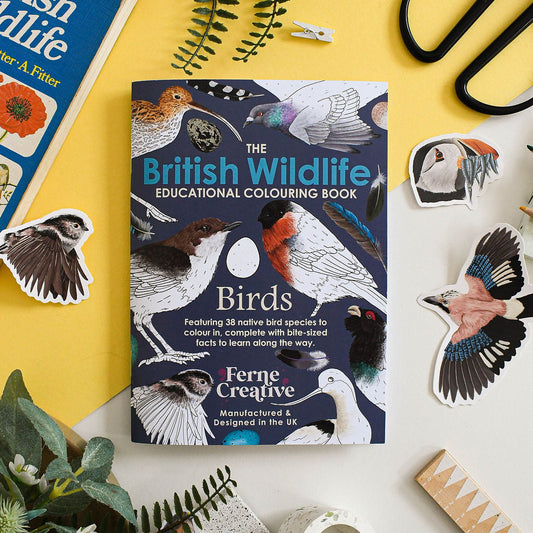Educational colouring book titled 'The British Wildlife Educational Colouring Book' on a yellow surface with decorative elements.
