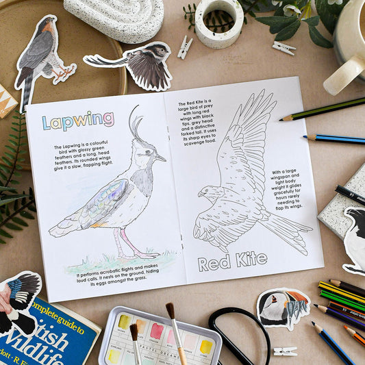 Coloring book with bird illustrations on a table with art supplies