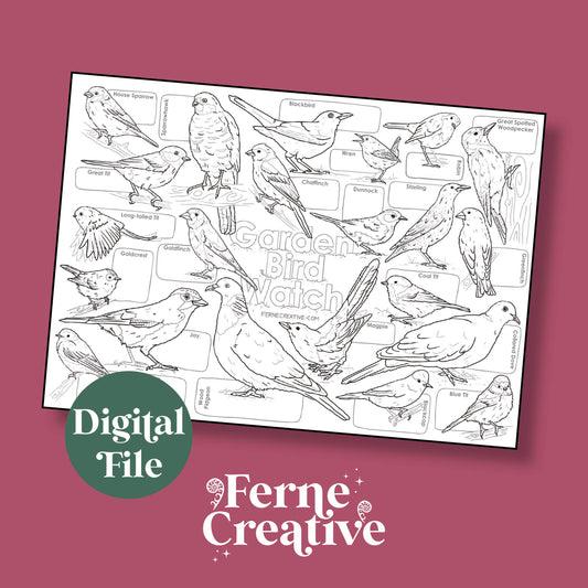 Printable Garden Birds Colouring & Counting Sheet