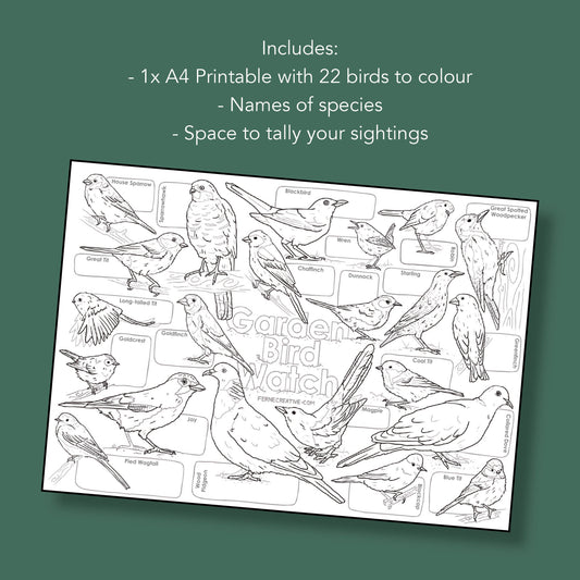 Printable Garden Birds Colouring & Counting Sheet