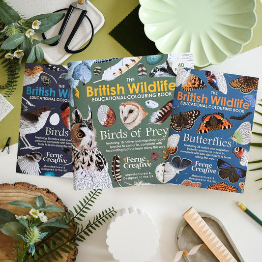 Wildlife Colouring Book Bundle of 2
