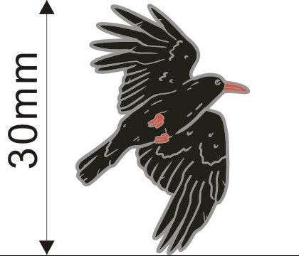 Chough Enamel Pin