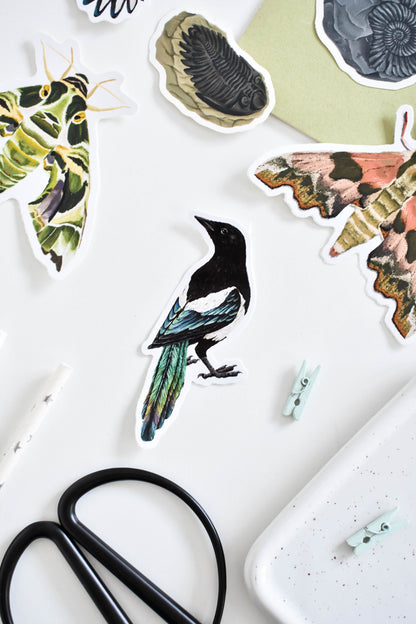 Magpie Vinyl Sticker Bundle