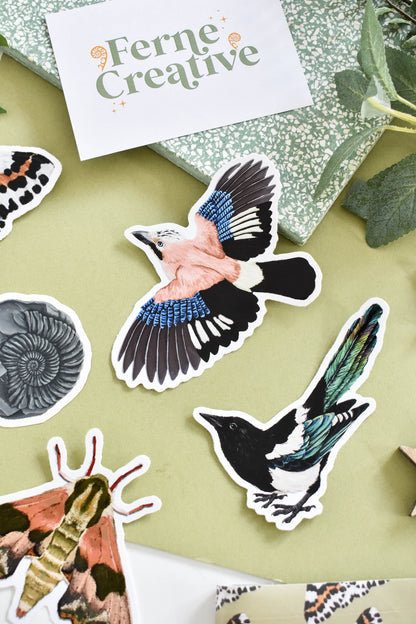 Magpie Vinyl Sticker Bundle