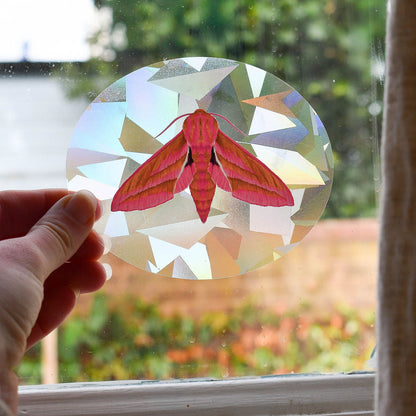Hand holding a rPink Moth suncatcher decal in front of a window with a garden view.