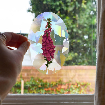 Hand holding a foxglove suncatcher in front of a window