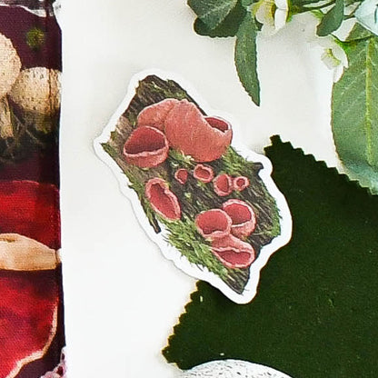 Scarlet Elf Cap Fungi Sticker