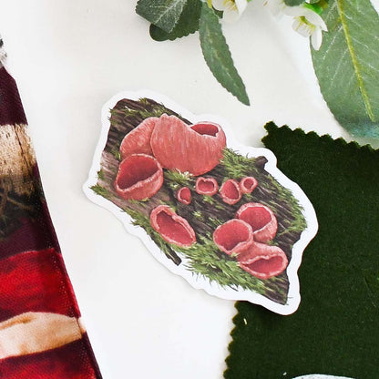 Scarlet Elf Cap Fungi Sticker