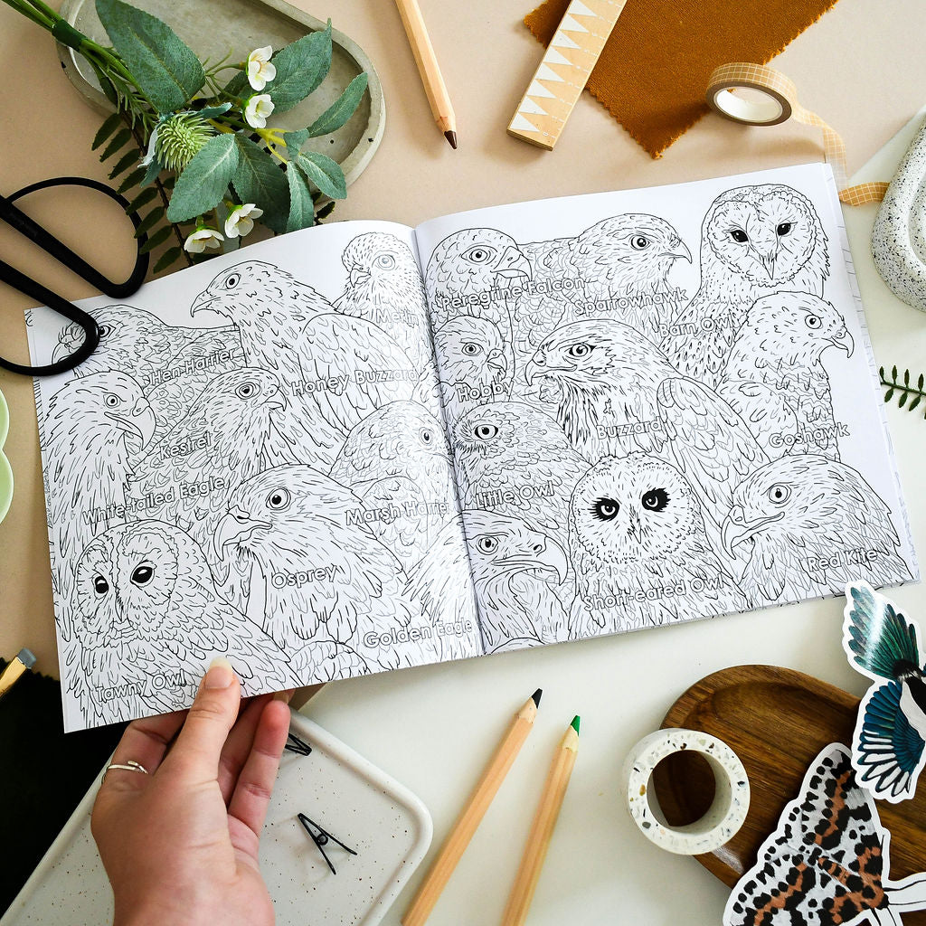 British Bird of Prey Educational Colouring Book