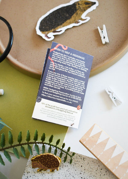 Hedgehog Charity Enamel Pin