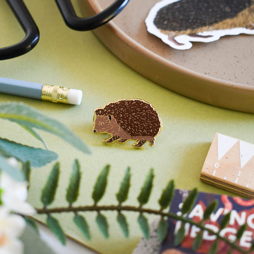 Hedgehog-themed items including a pin, sticker, and book on a green surface with a plant.