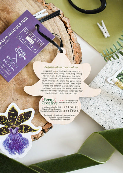 Wooden Orchid Decoration 'Zygopetalum maculatum'