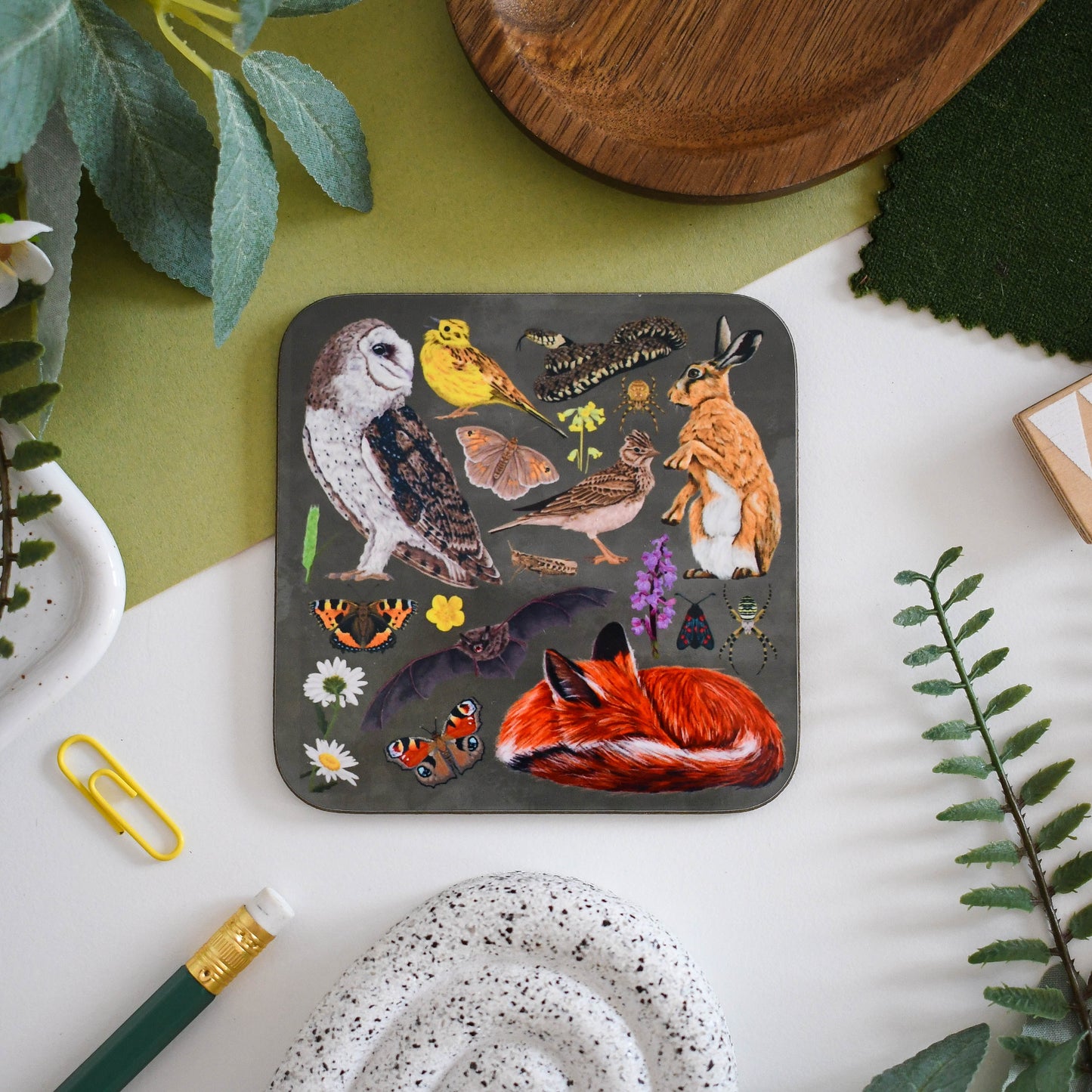 Illustrated Coaster Bundle of 4