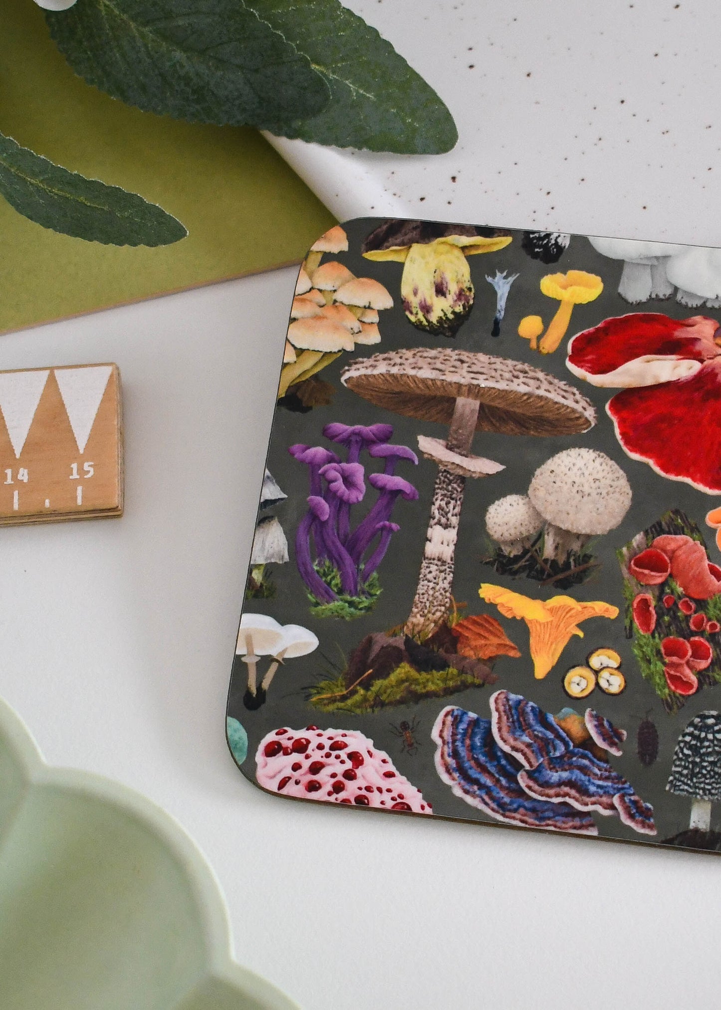 Illustrated Fungi Coaster